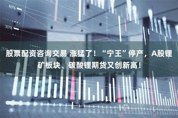 股票配资咨询交易 涨猛了！“宁王”停产，A股锂矿板块、碳酸锂期货又创新高！