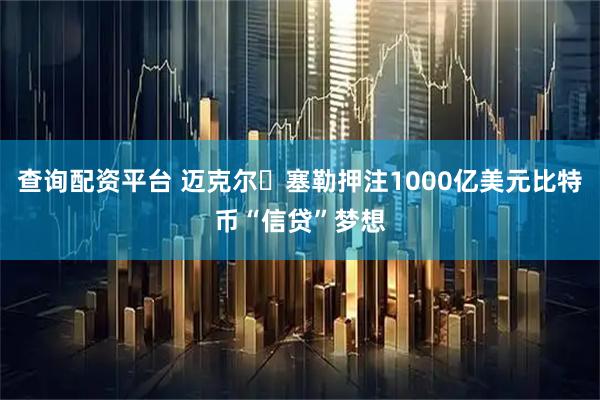 查询配资平台 迈克尔・塞勒押注1000亿美元比特币“信贷”梦想